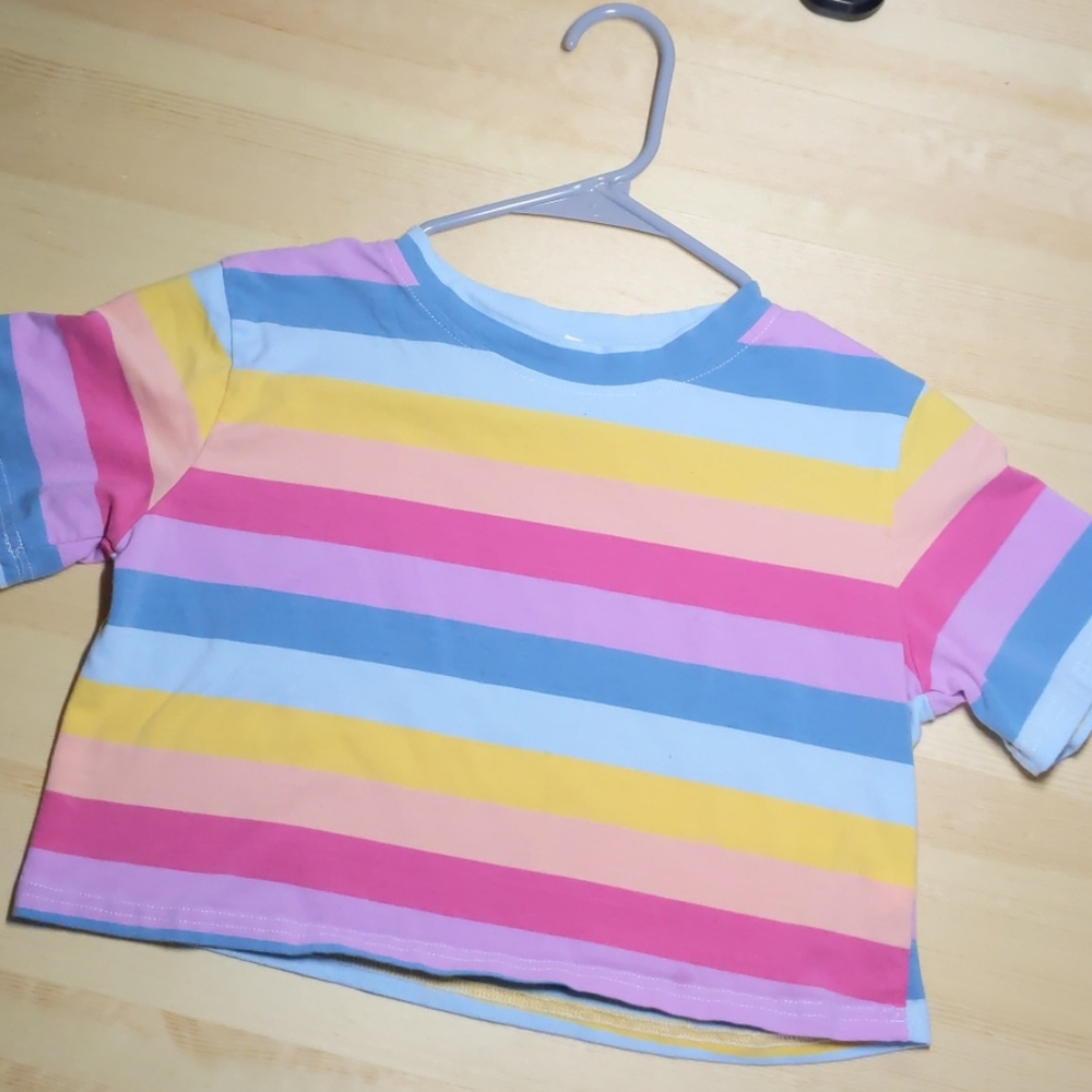 Rainbow Crop Top
